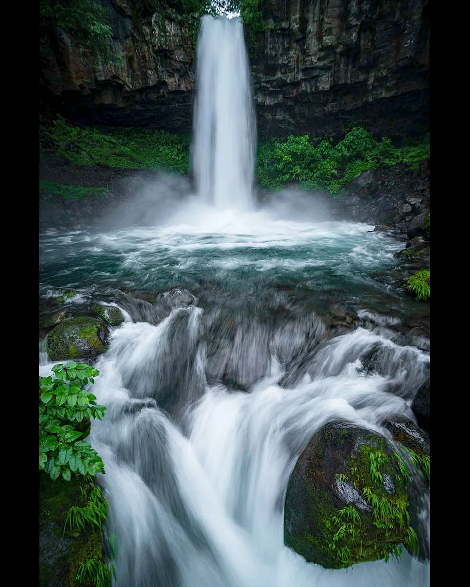 投稿写真：青葉に滝二つ