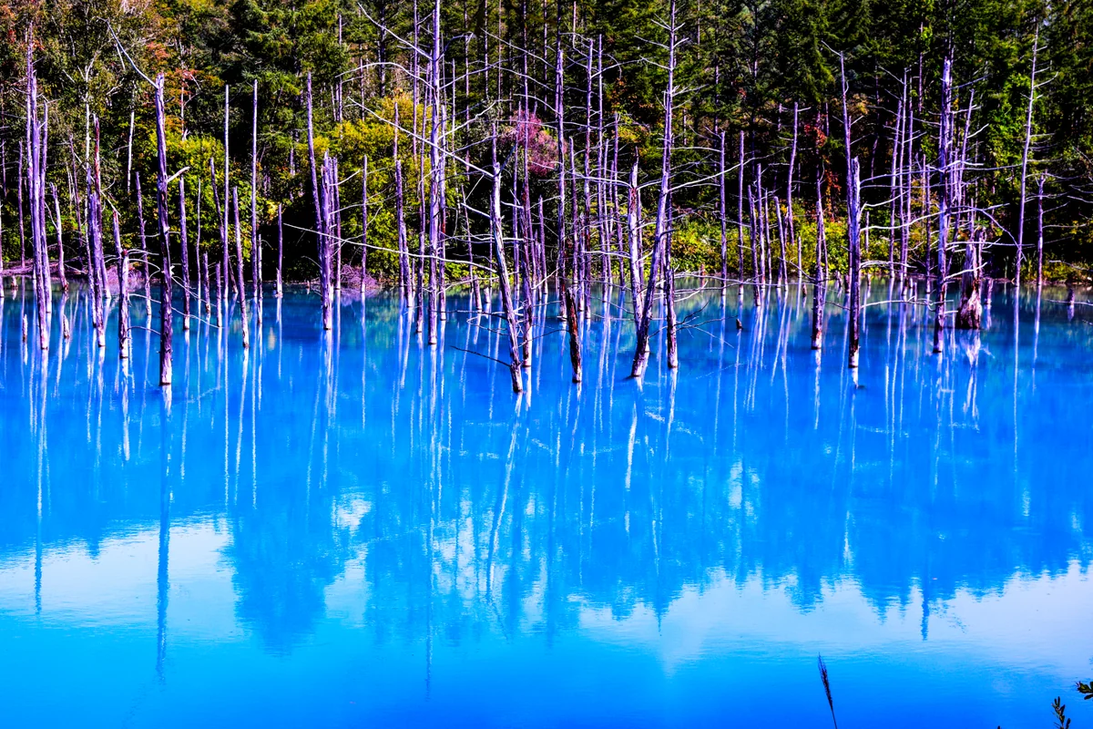 投稿写真：青い池