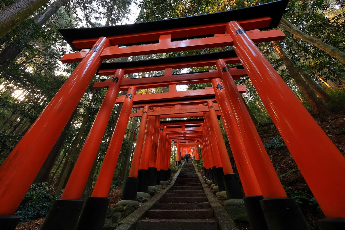 投稿写真：神様の通り道