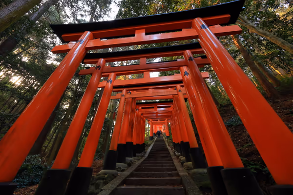 投稿：神様の通り道
