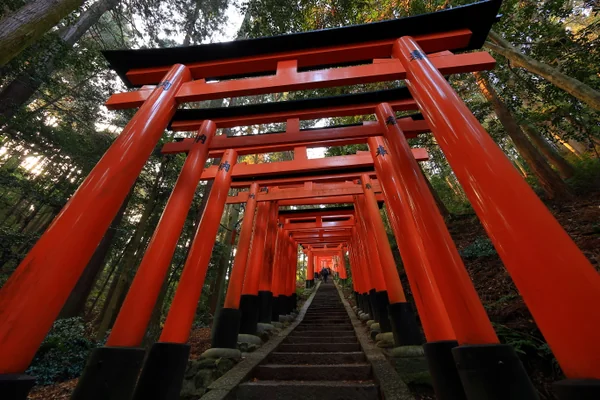 投稿：神様の通り道