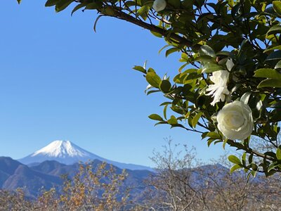  | 絶景事典