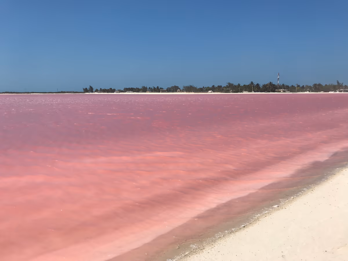 投稿写真：PinkLake in Mexico