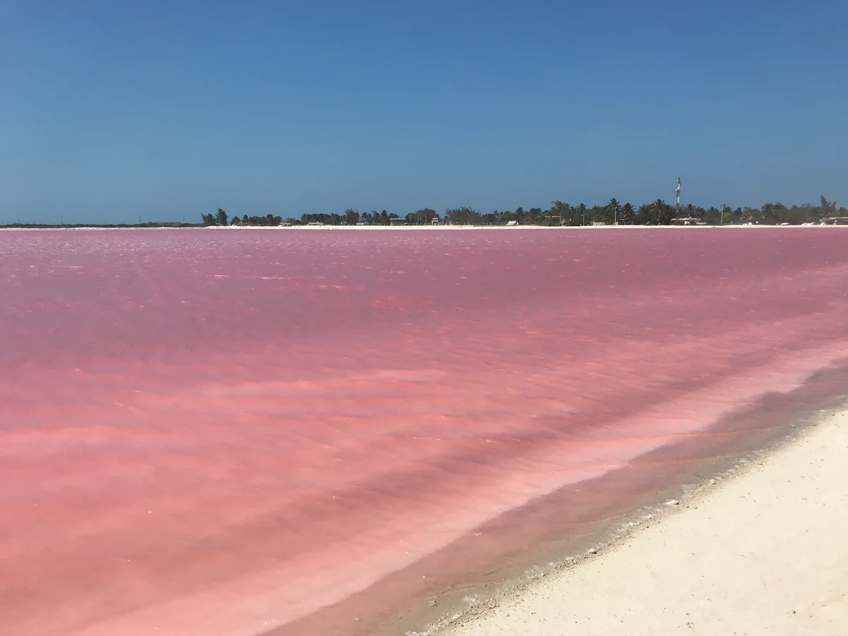投稿写真：PinkLake in Mexico