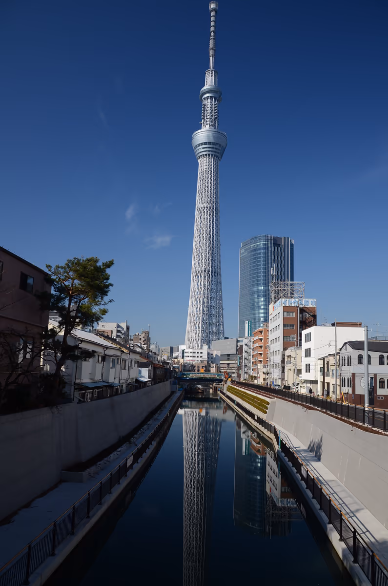 投稿写真：東京スカイツリー　反射