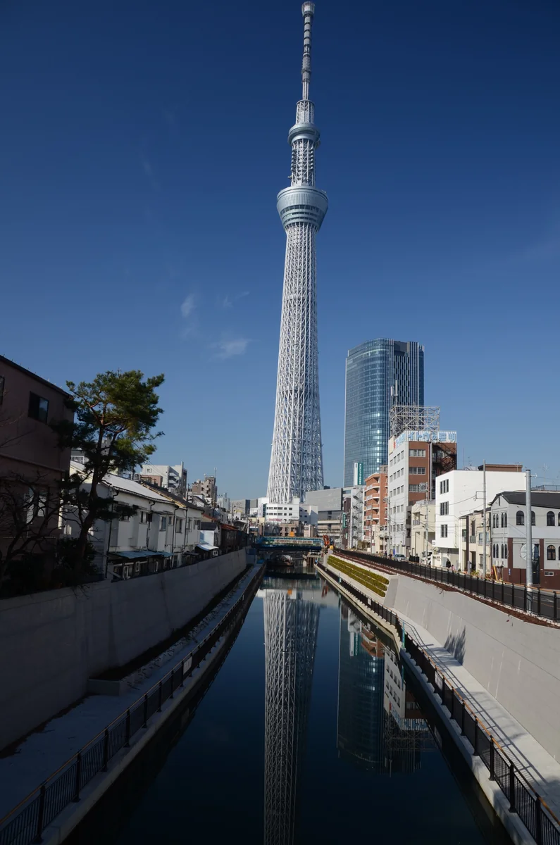 投稿写真：東京スカイツリー　反射