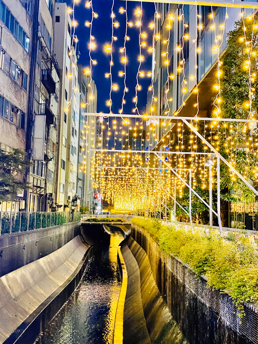 投稿写真：渋谷