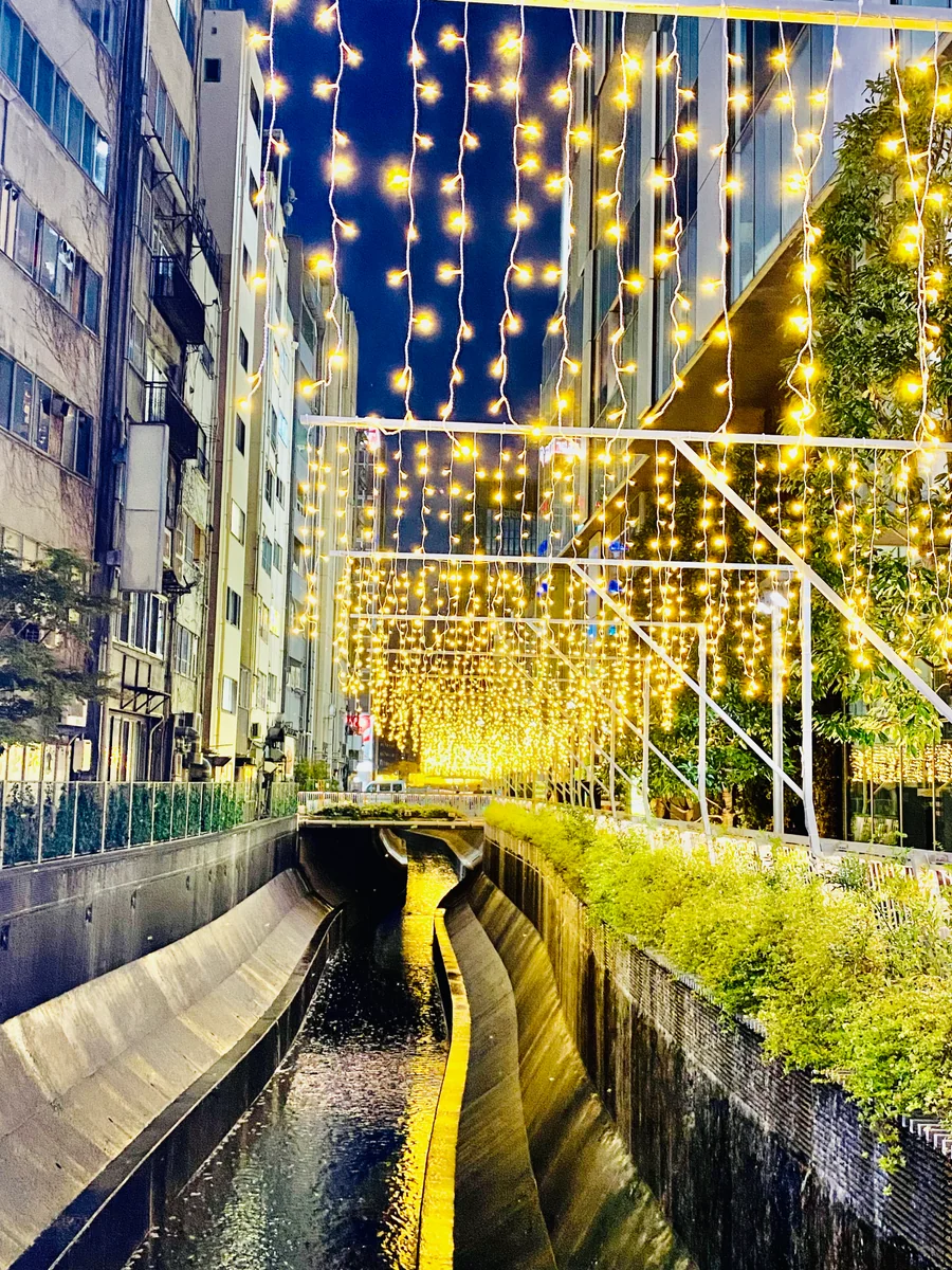 投稿写真：渋谷