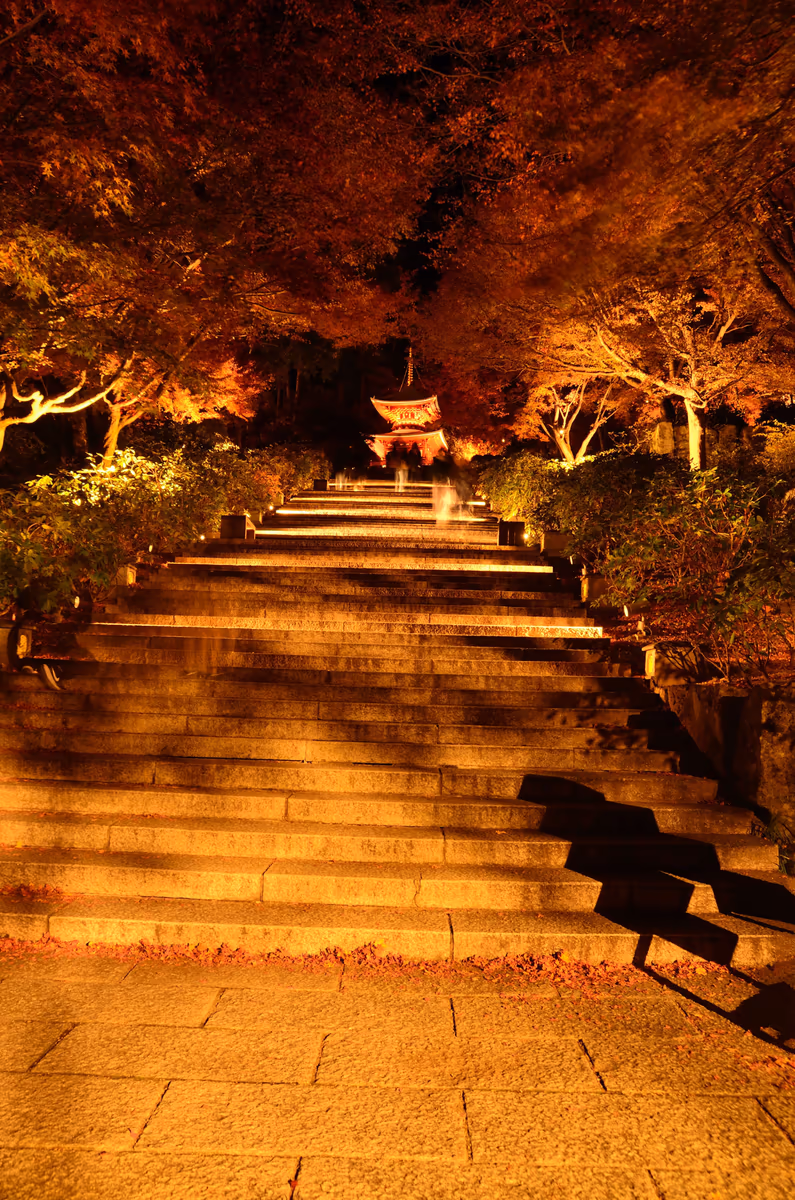 投稿写真：勝尾寺　秋の参道（夜）