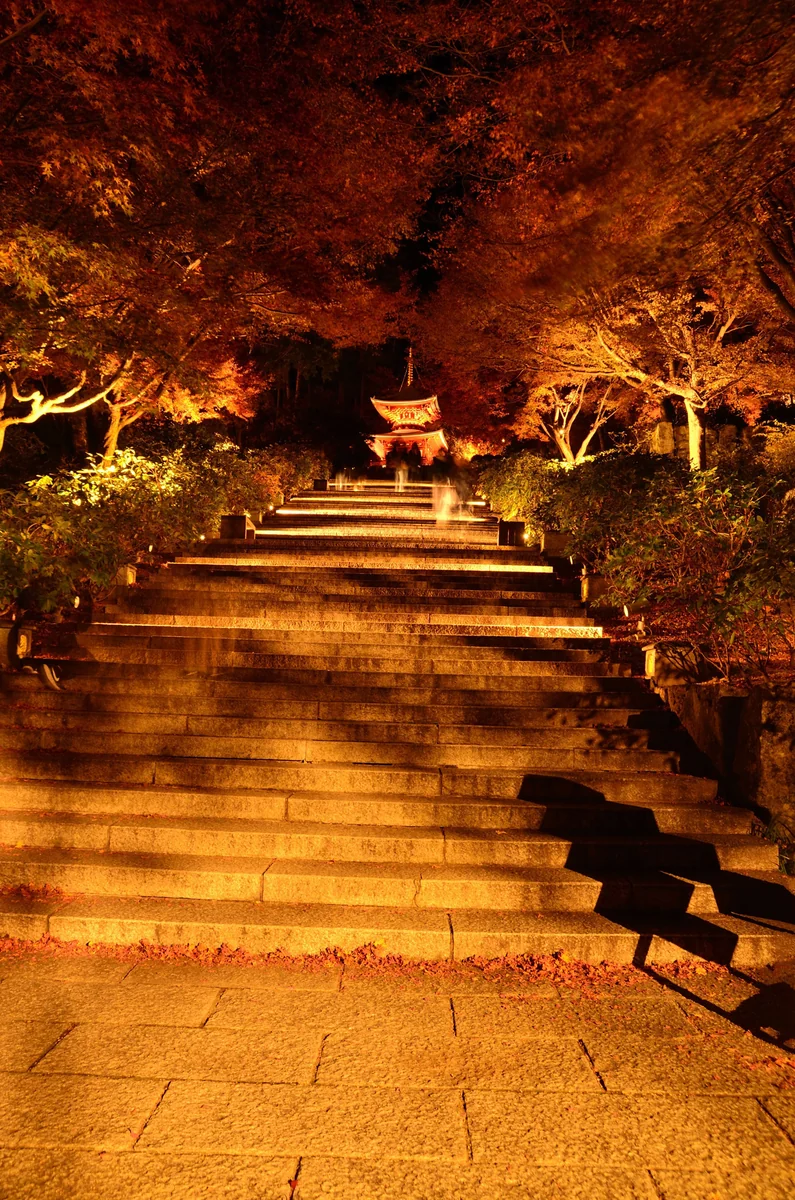 投稿写真：勝尾寺　秋の参道（夜）