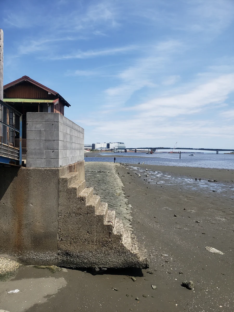 投稿写真：羽田の干潟