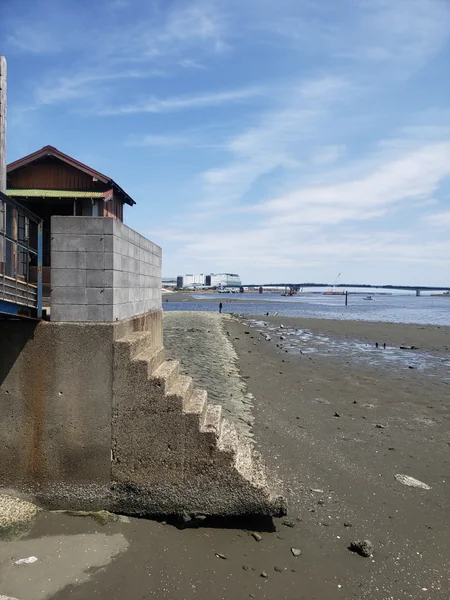 投稿：羽田の干潟