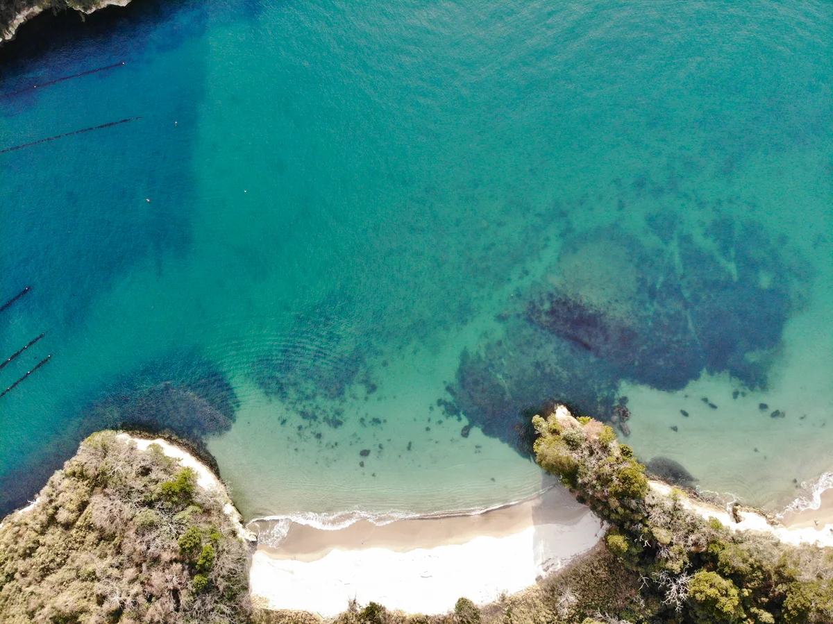 投稿写真：プライベートビーチ