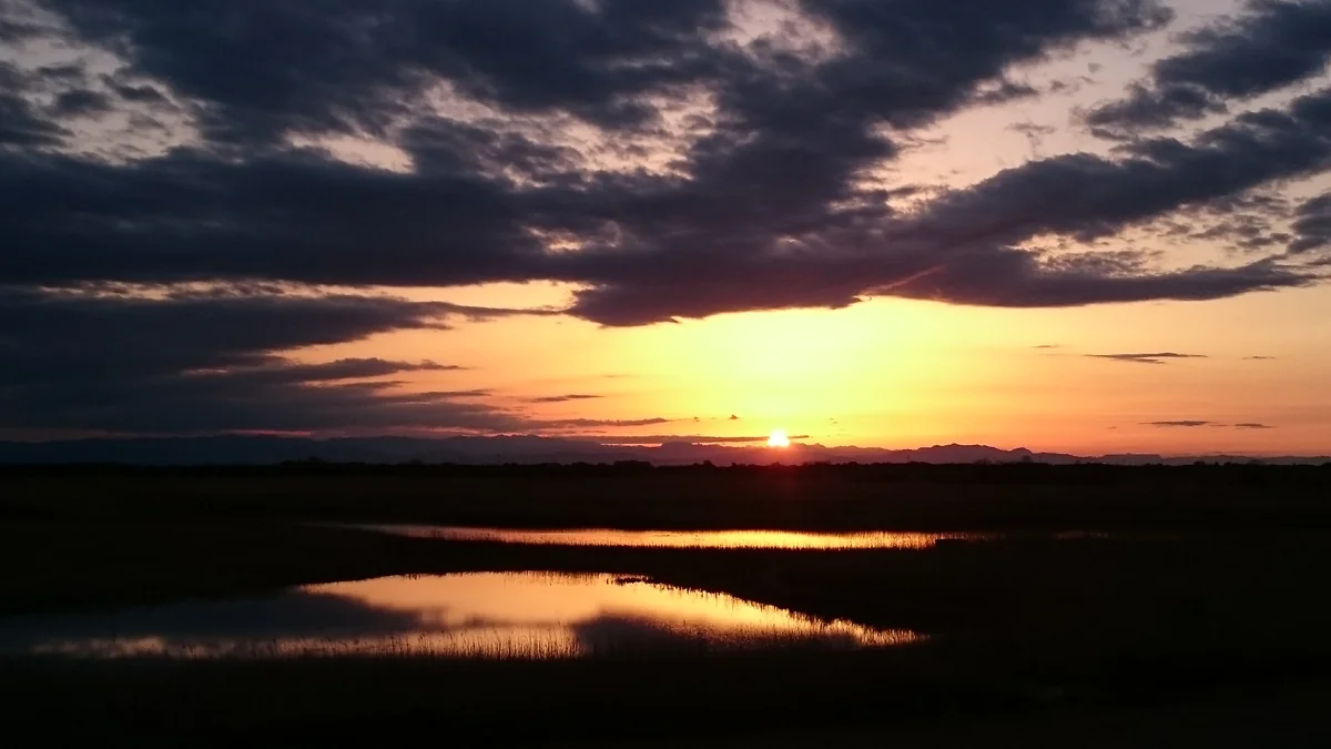 投稿写真：地平線に