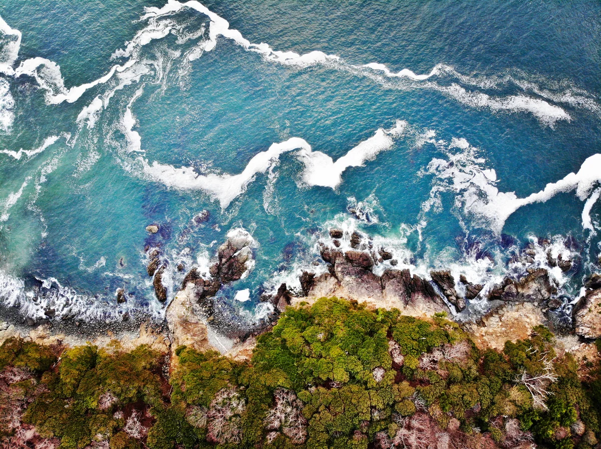 投稿写真：三陸海岸