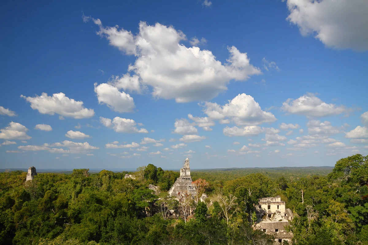 投稿写真：ティカル遺跡