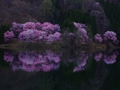  | 絶景事典