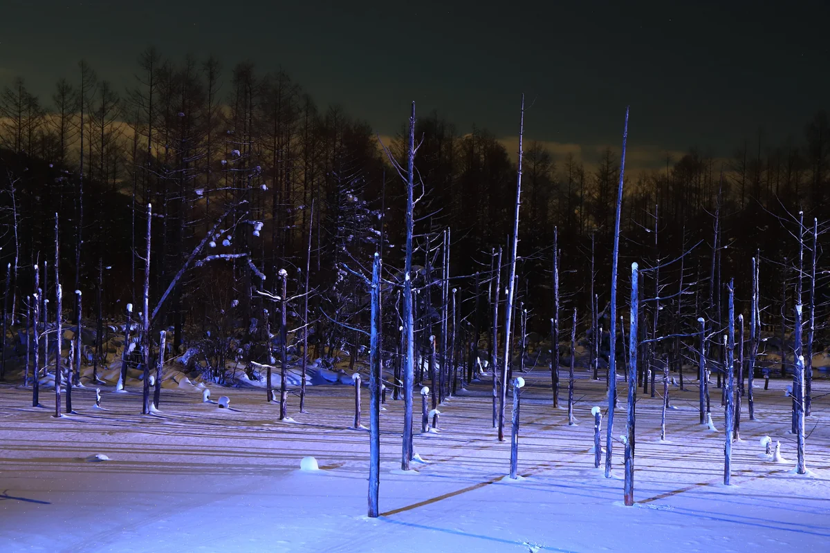 投稿写真：青池