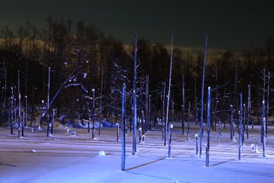  | 絶景事典