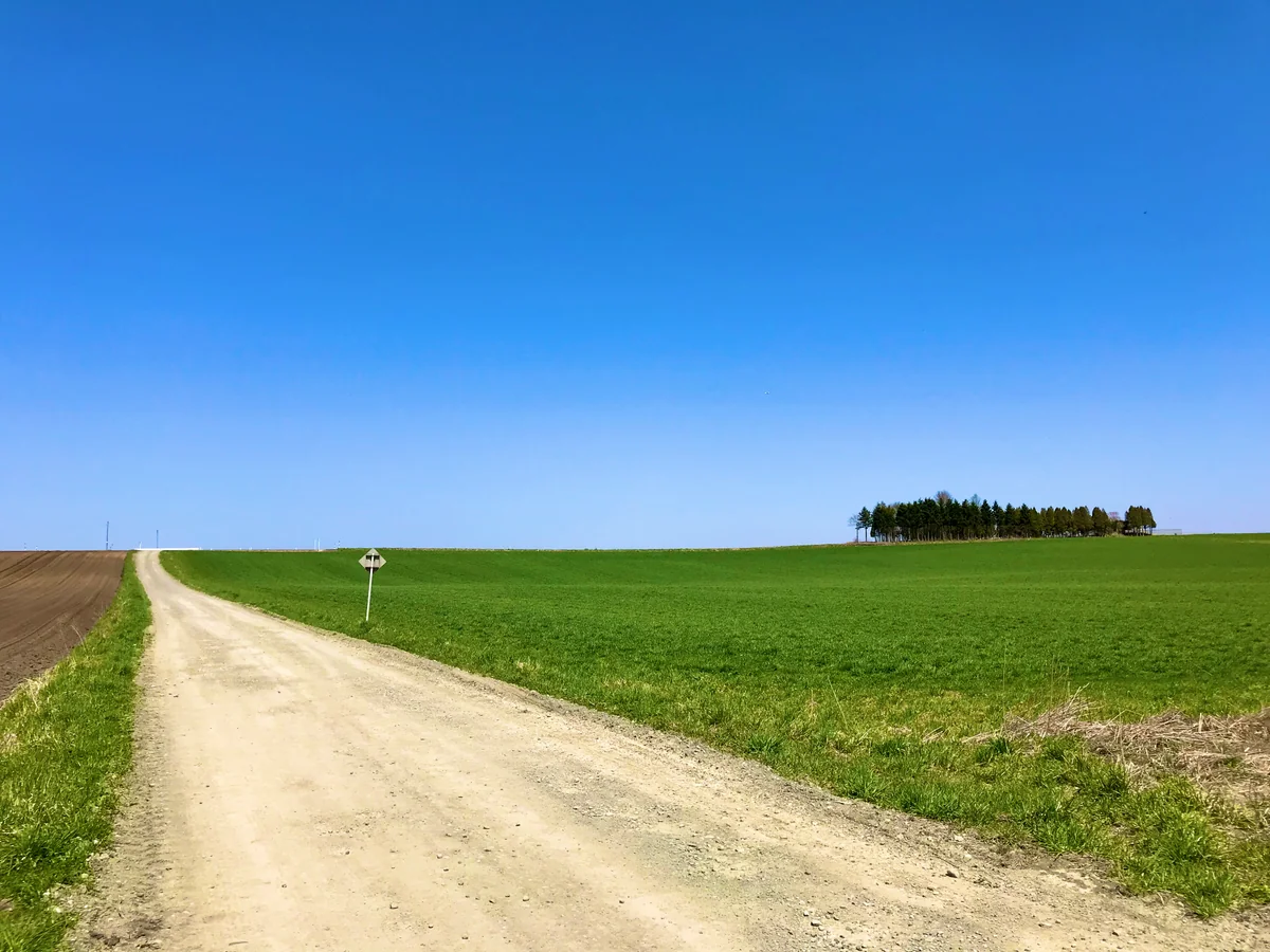 投稿写真：金麦の丘