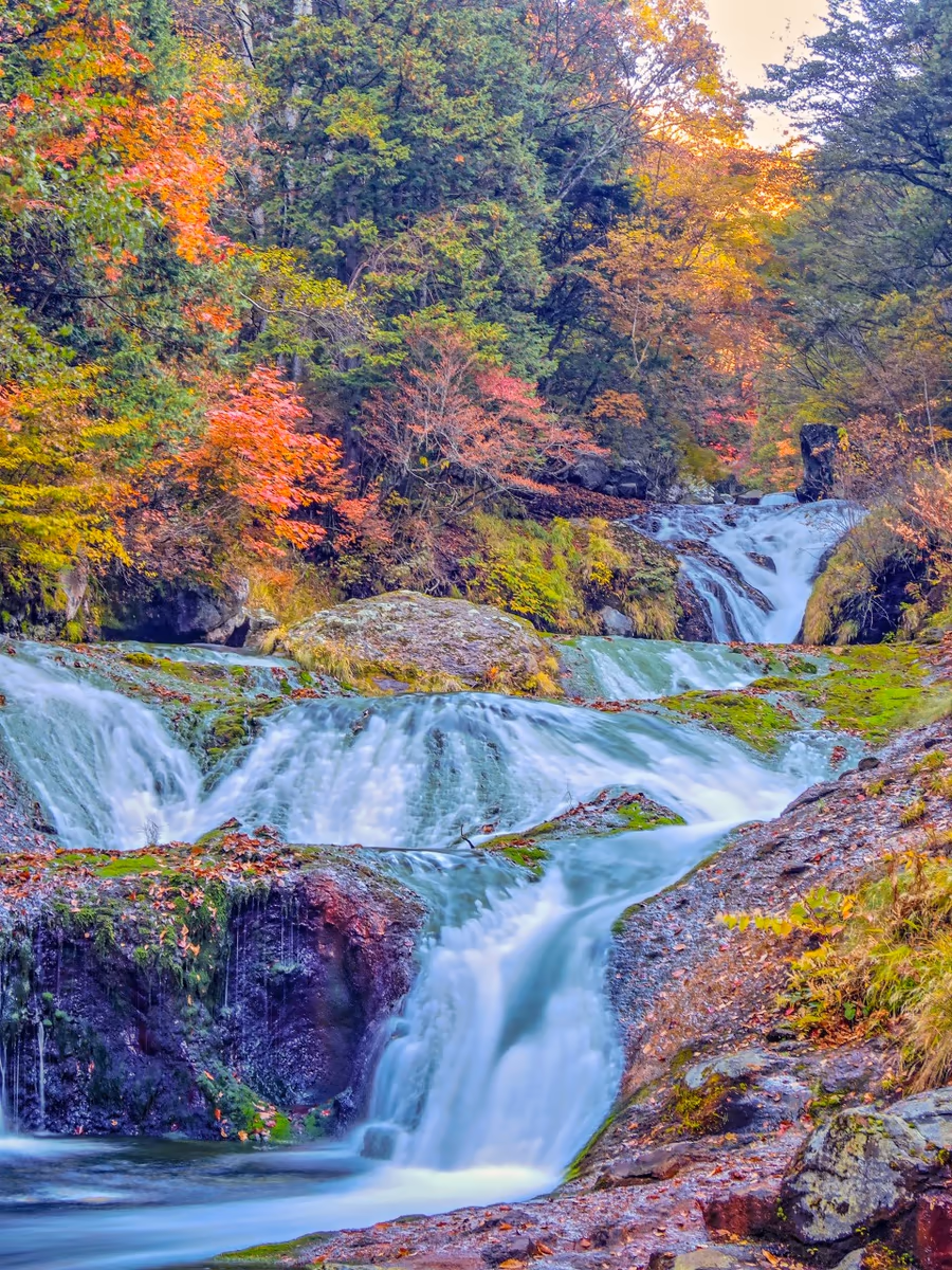 投稿写真：紅葉のおしどり隠しの滝