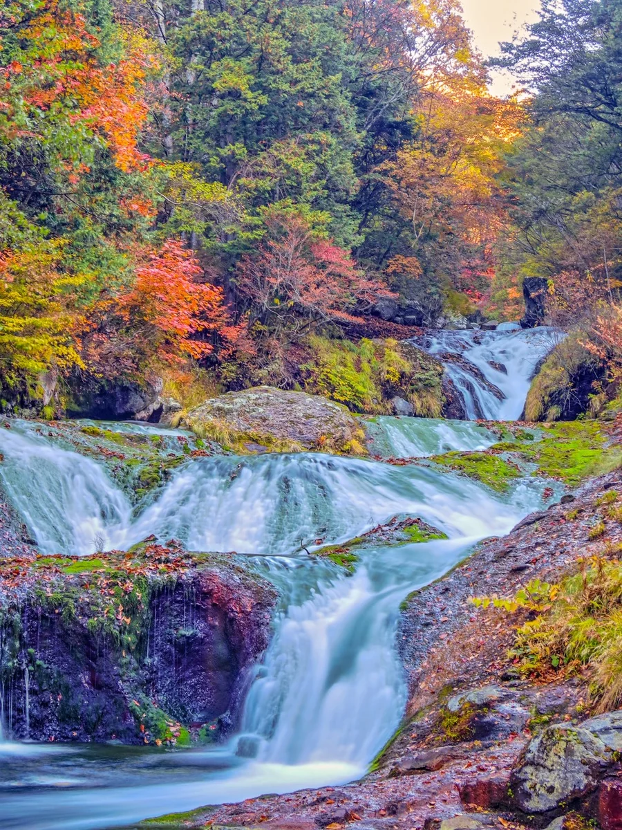 投稿写真：紅葉のおしどり隠しの滝