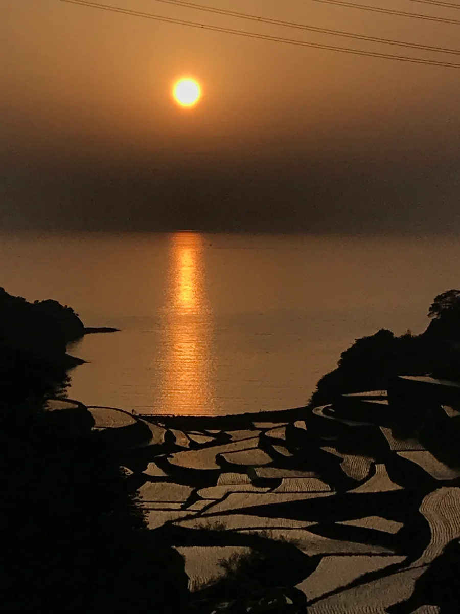 投稿写真：浜野浦の棚田の夕日
