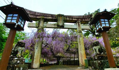  | 絶景事典