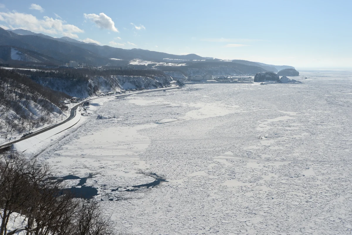投稿写真：流氷に覆われる海