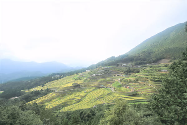 投稿：丸山千枚田