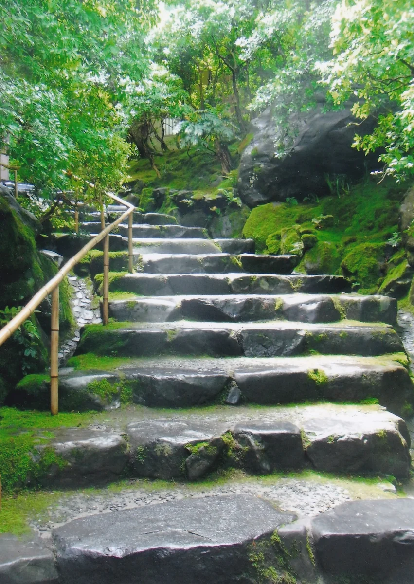 投稿写真：京都　瑠璃光院