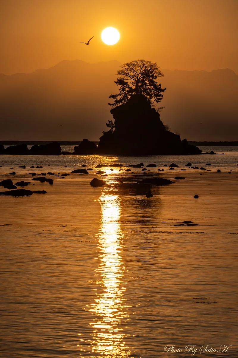 投稿写真：夜明け