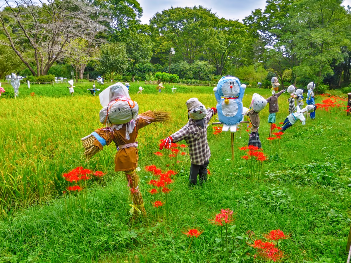投稿写真：彼岸花とかかし