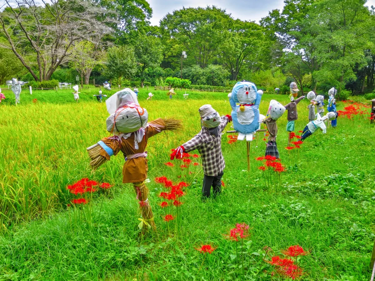 投稿写真：彼岸花とかかし