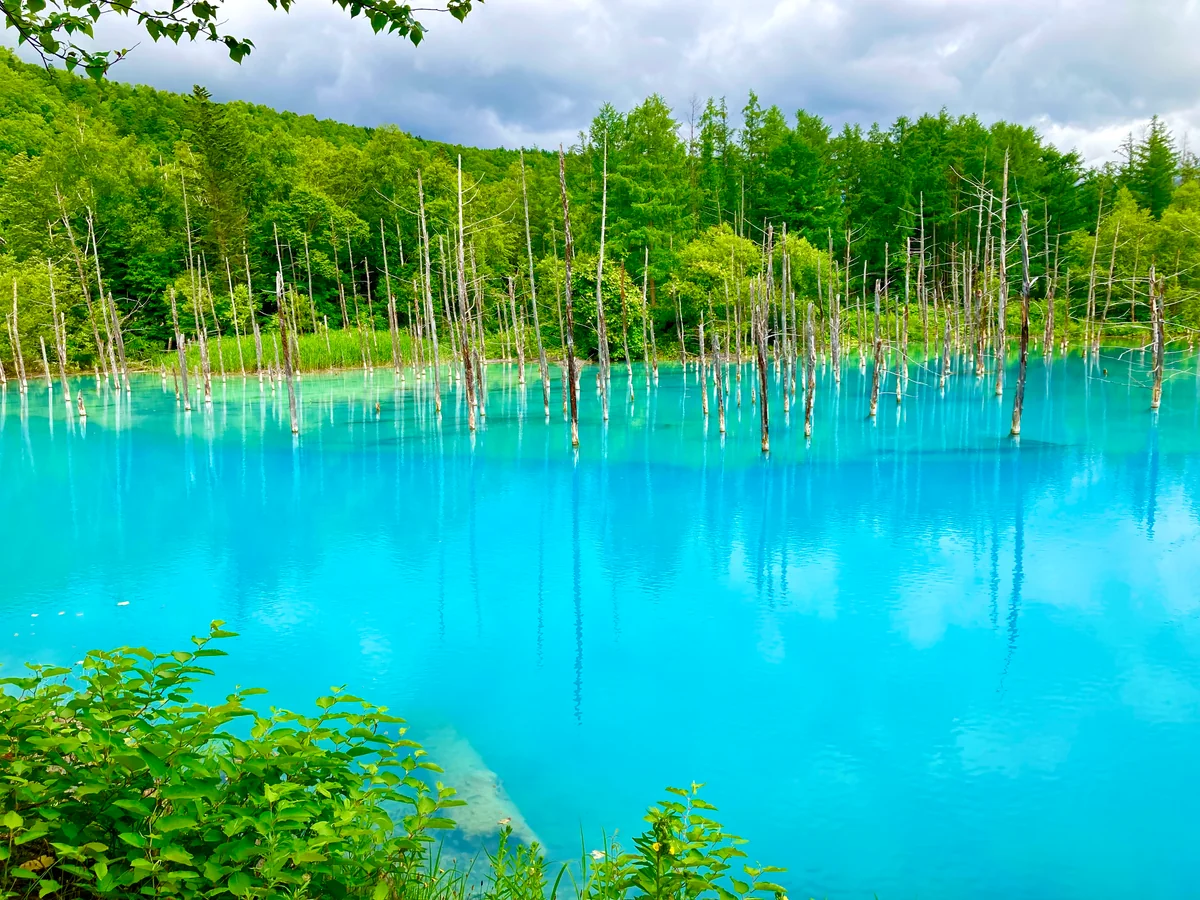 投稿写真：青い池