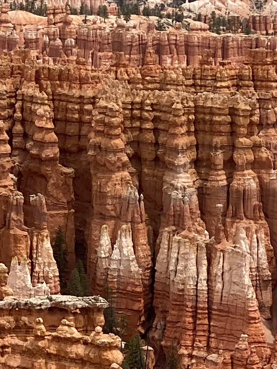 rankoさんの投稿写真