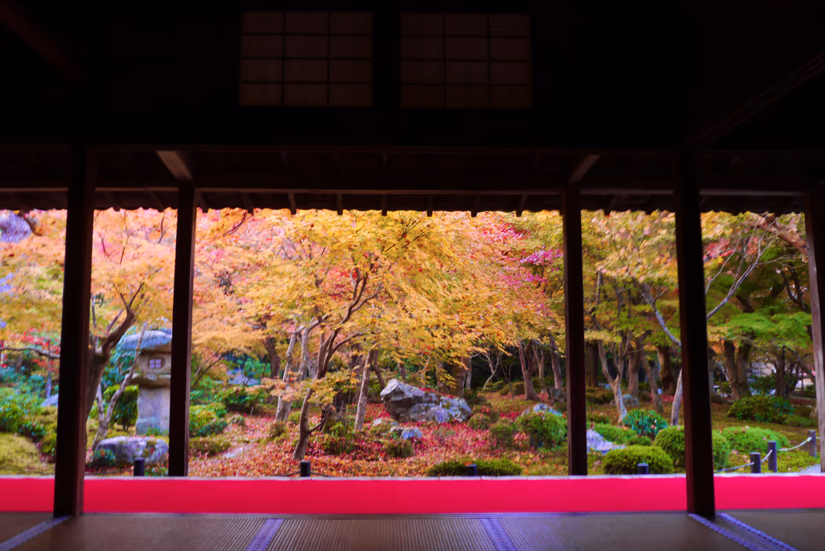 投稿写真：ハッとする程美しい 十牛之庭 圓光寺