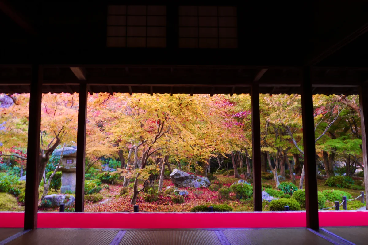 投稿写真：ハッとする程美しい 十牛之庭 圓光寺