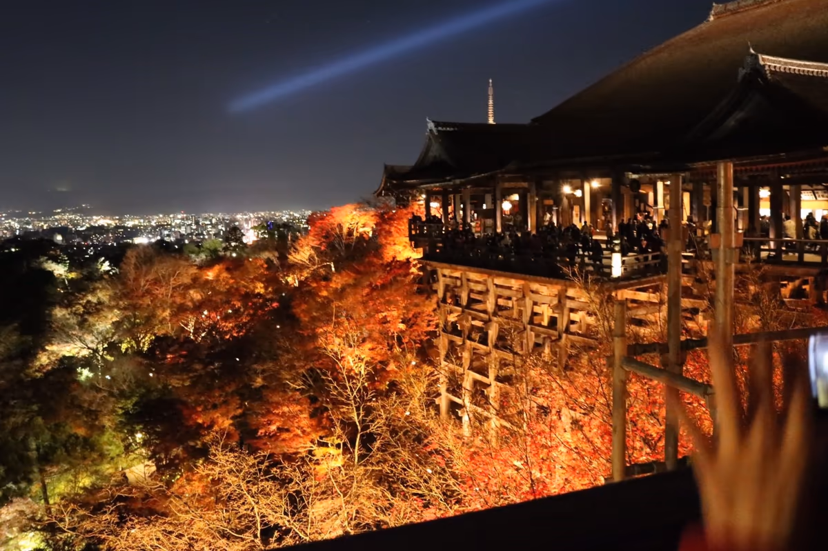 投稿写真：清水寺のライトアップ🍁