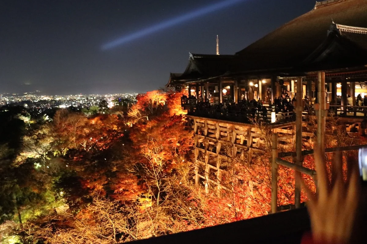 投稿写真：清水寺のライトアップ🍁