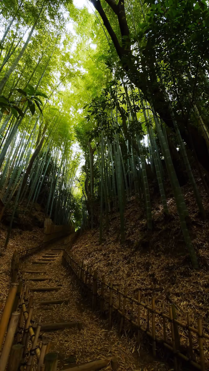 投稿写真：侍の古径