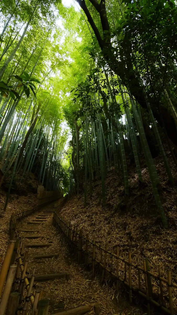 投稿写真：侍の古径