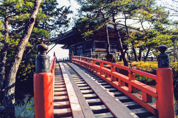投稿：松島