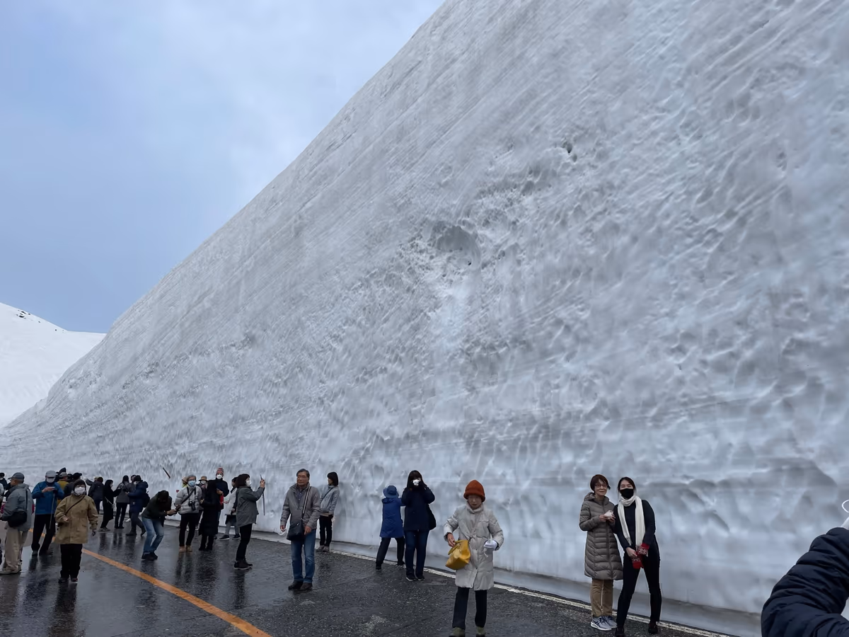 投稿写真：雪の大谷