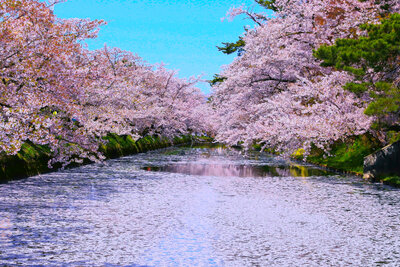  | 絶景事典