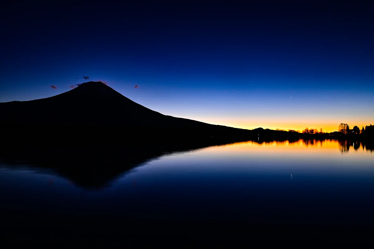 投稿写真：明るい１年を信じて