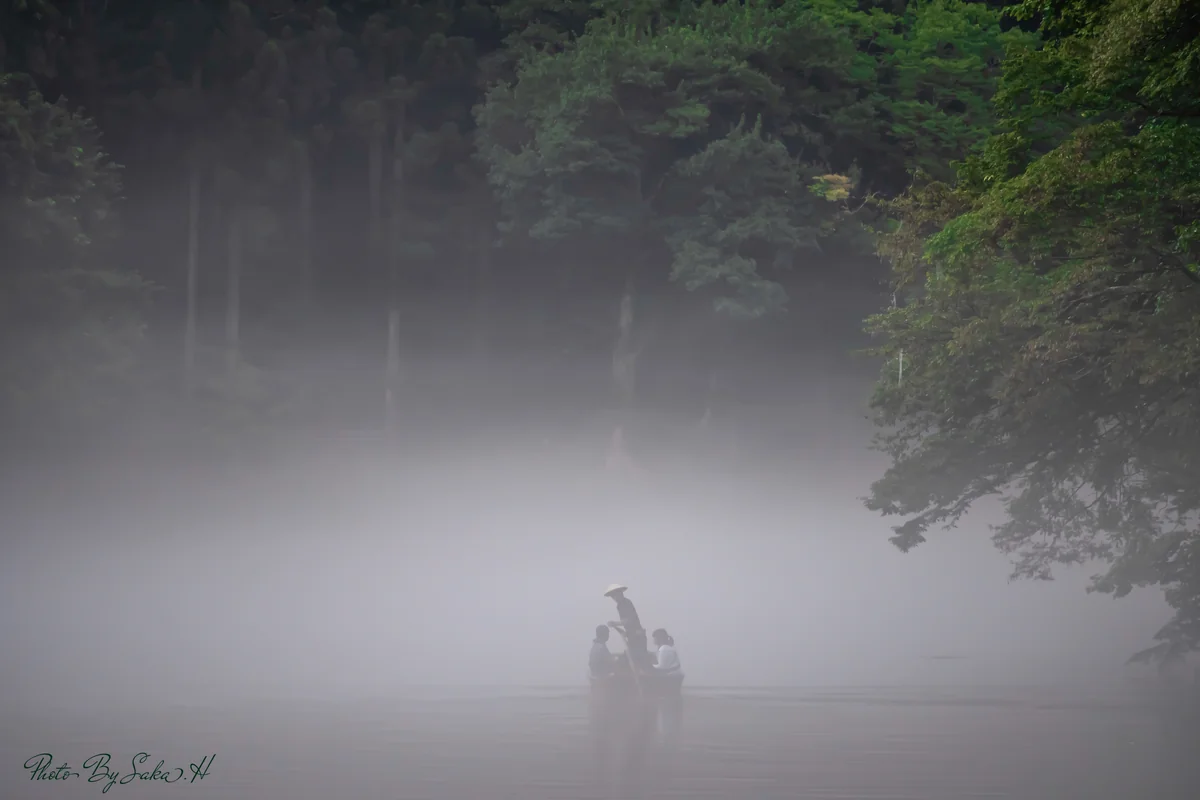 投稿写真：霧の中へ