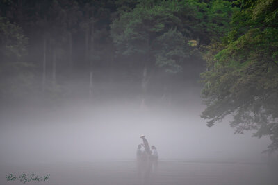  | 絶景事典