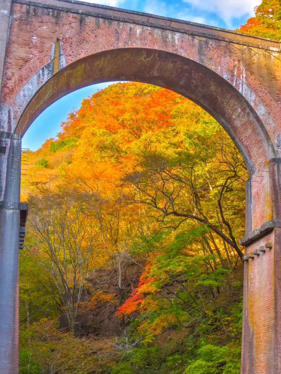 投稿写真：アーチ橋と紅葉グラデーション