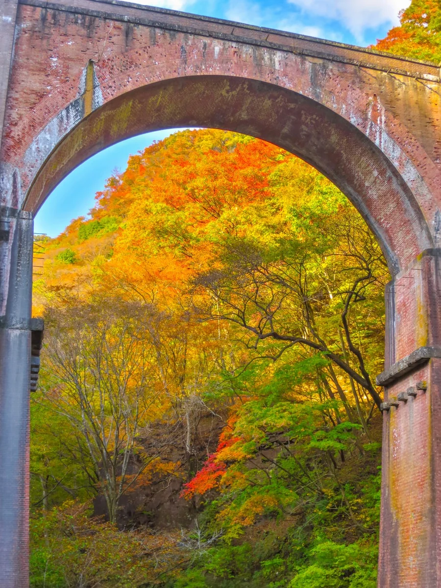 伊藤 和平さんの投稿写真
